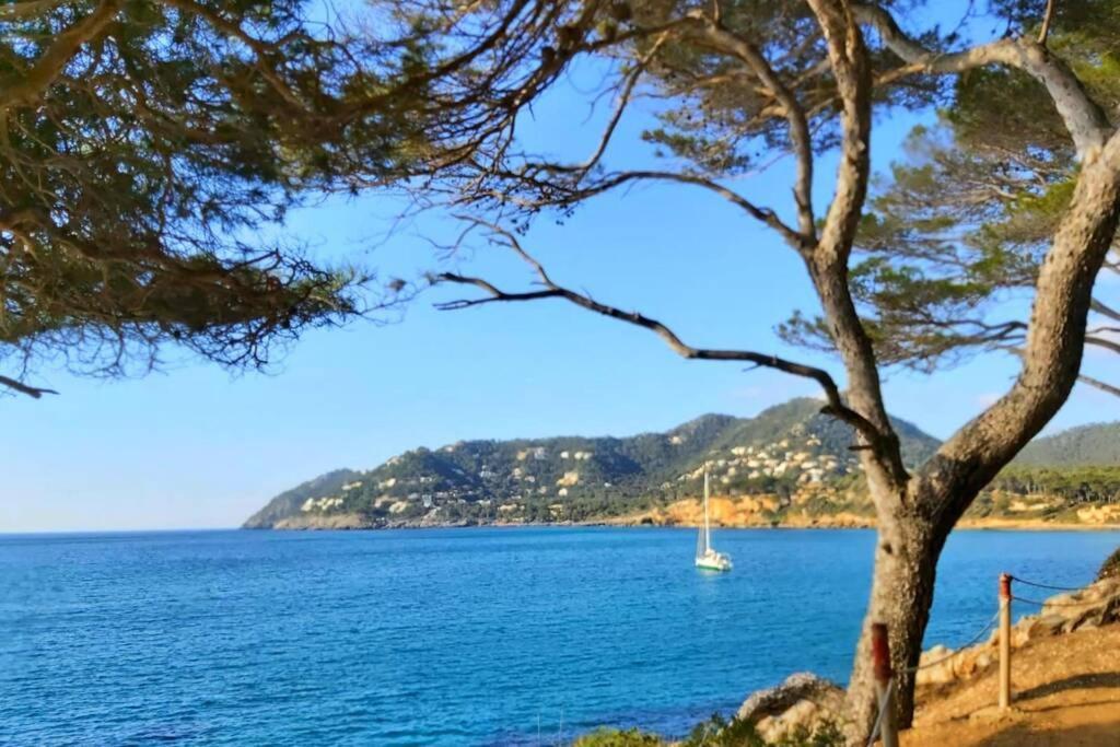 Apartamento Aptment 4a Sa Calobra With Pool & Terrace Canyamel
